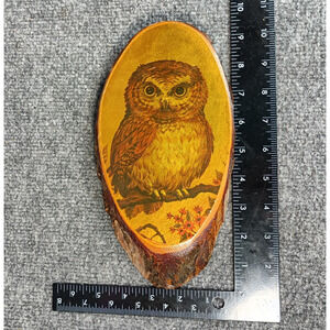 Vintage Mt Rushmore SD Owl Wood Slice Plaque Bark Edge 1970 USA